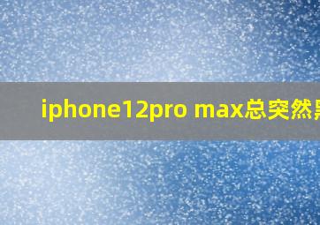 iphone12pro max总突然黑屏